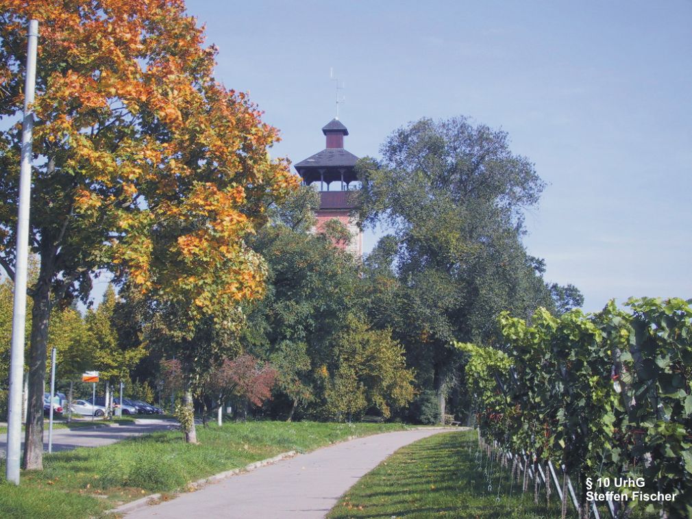 Aussichtspunkt Burgholzturm